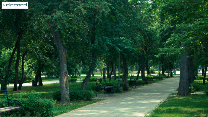 04 - AV1 - Stream1_AV1_4K_8.webm